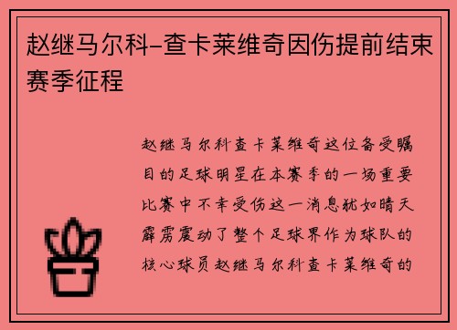 赵继马尔科-查卡莱维奇因伤提前结束赛季征程